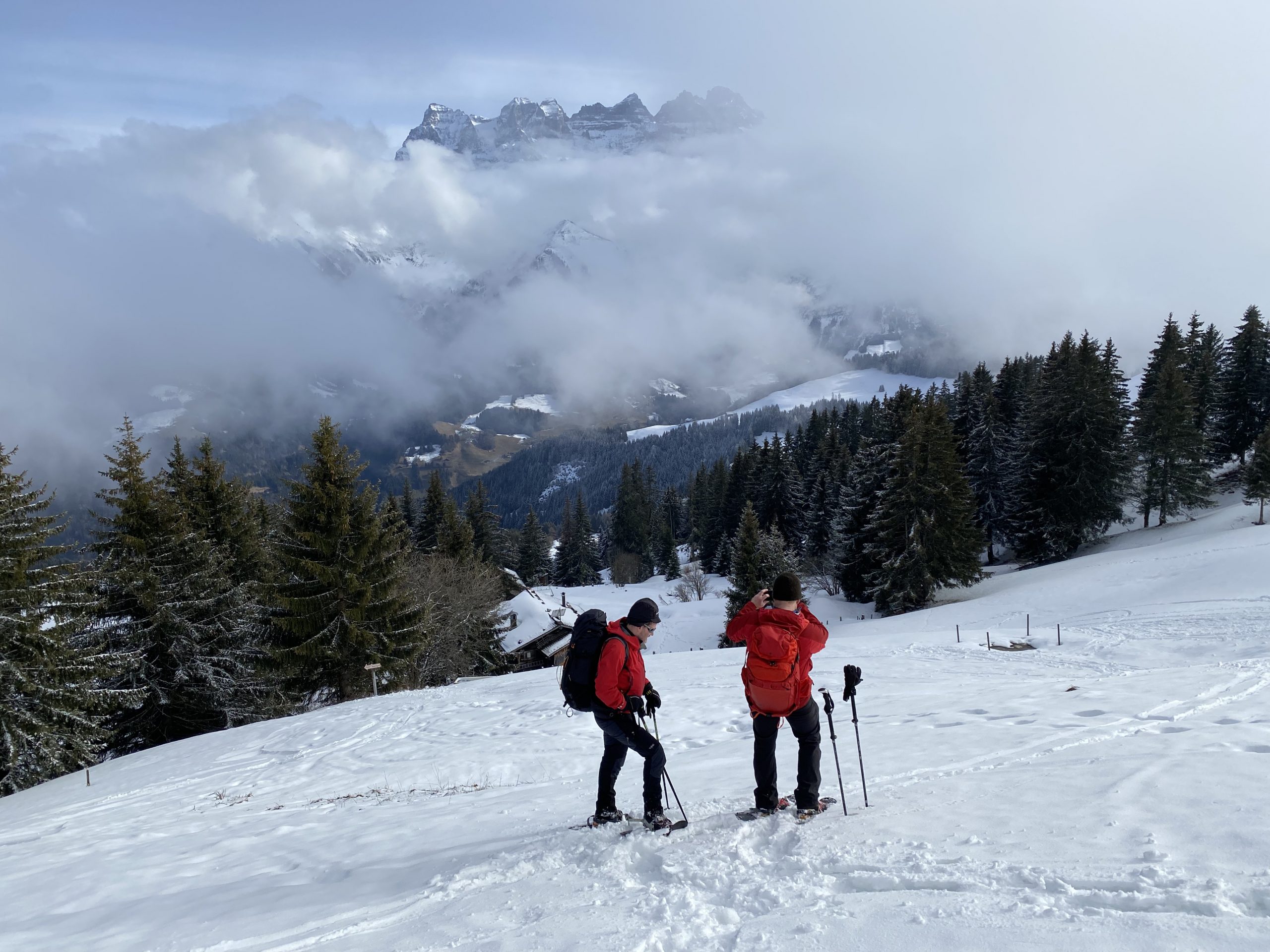 Snowshoe – Switzerland